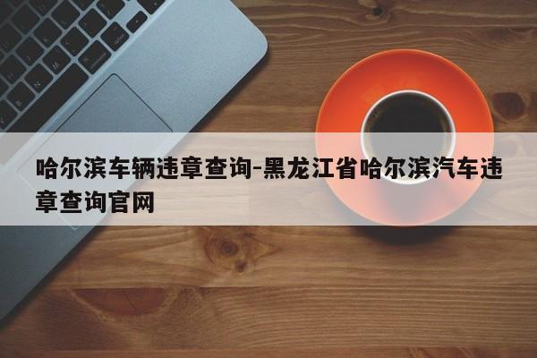 哈尔滨车辆违章查询-黑龙江省哈尔滨汽车违章查询官网