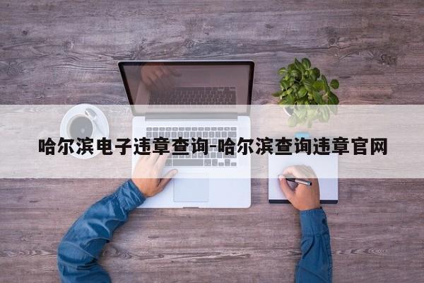 哈尔滨电子违章查询-哈尔滨查询违章官网