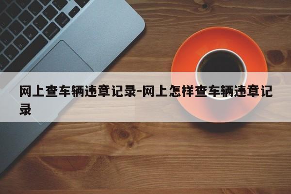 网上查车辆违章记录-网上怎样查车辆违章记录